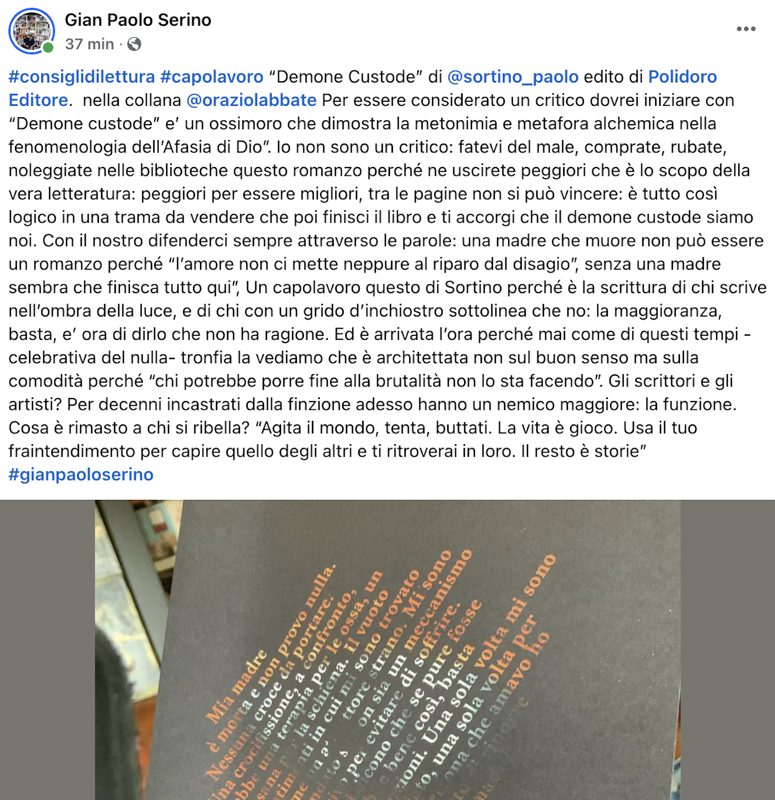 Gian Paolo Serino sul Demone custode di Paolo Sortino